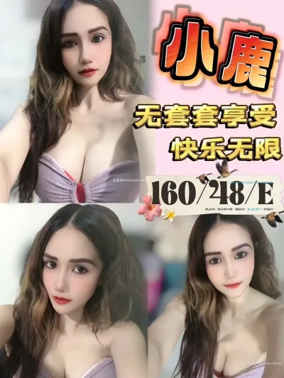 台中定點茶-小鹿 台中定點茶-小鹿