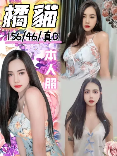 台中定點茶-橘貓 台中定點茶-橘貓